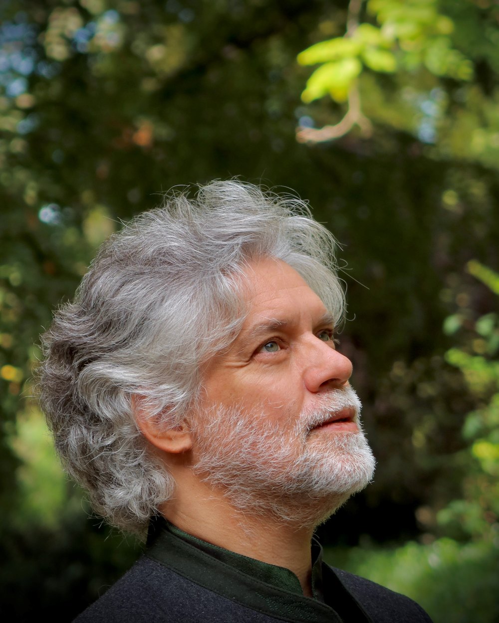 François-Frédéric Guy